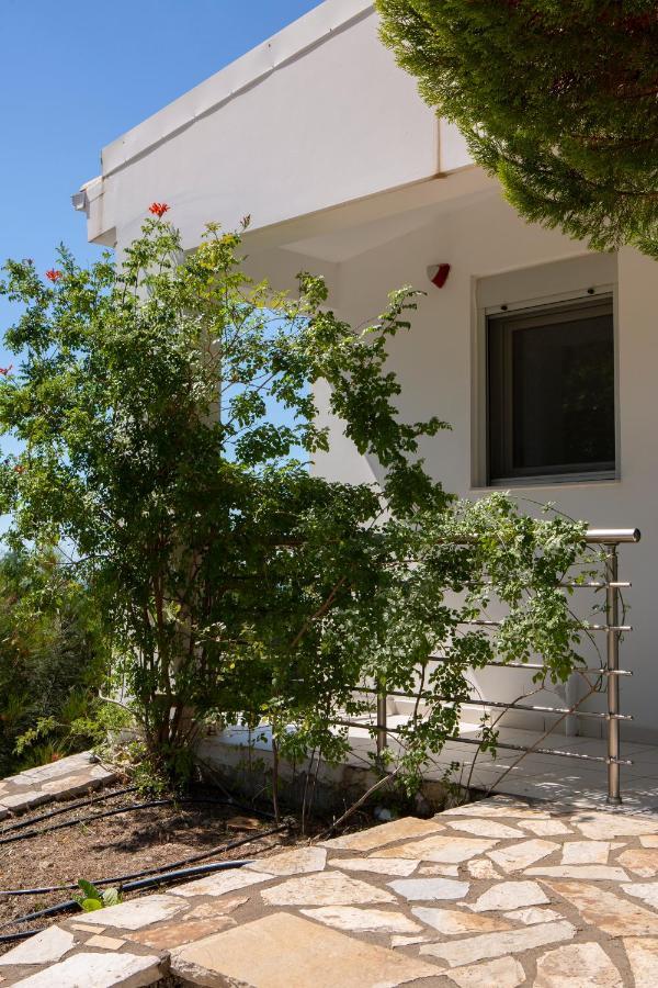 Dream View Villas Σύβοτα Εξωτερικό φωτογραφία